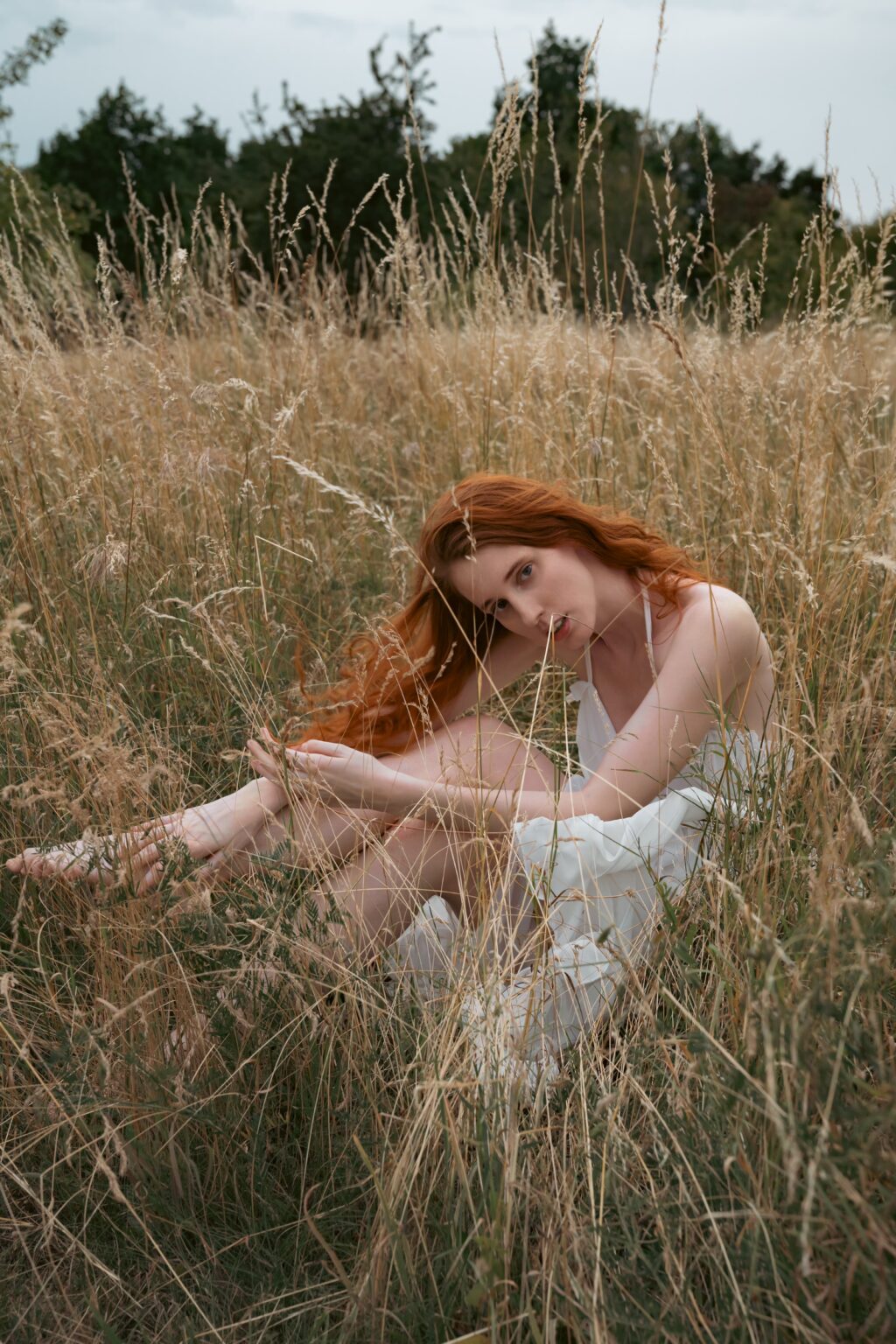 Kuro Rain sitting among tall summer grass and wildflowers