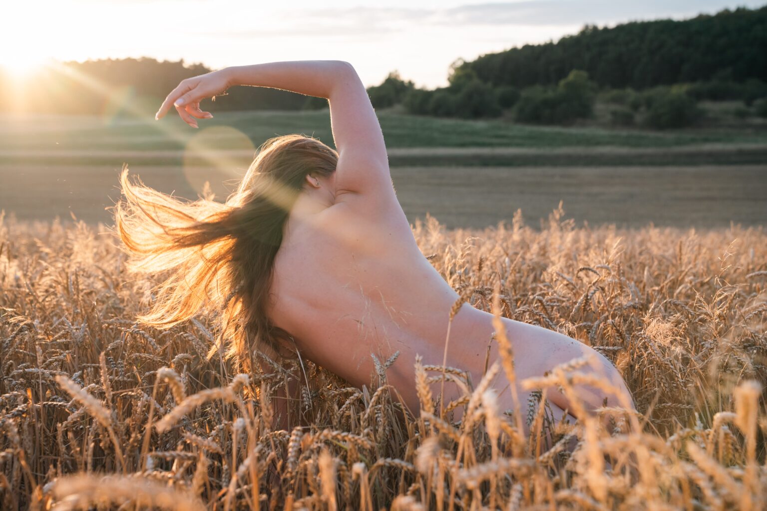 Nude portrait of Kate Photomodel in a wheat field during golden hour