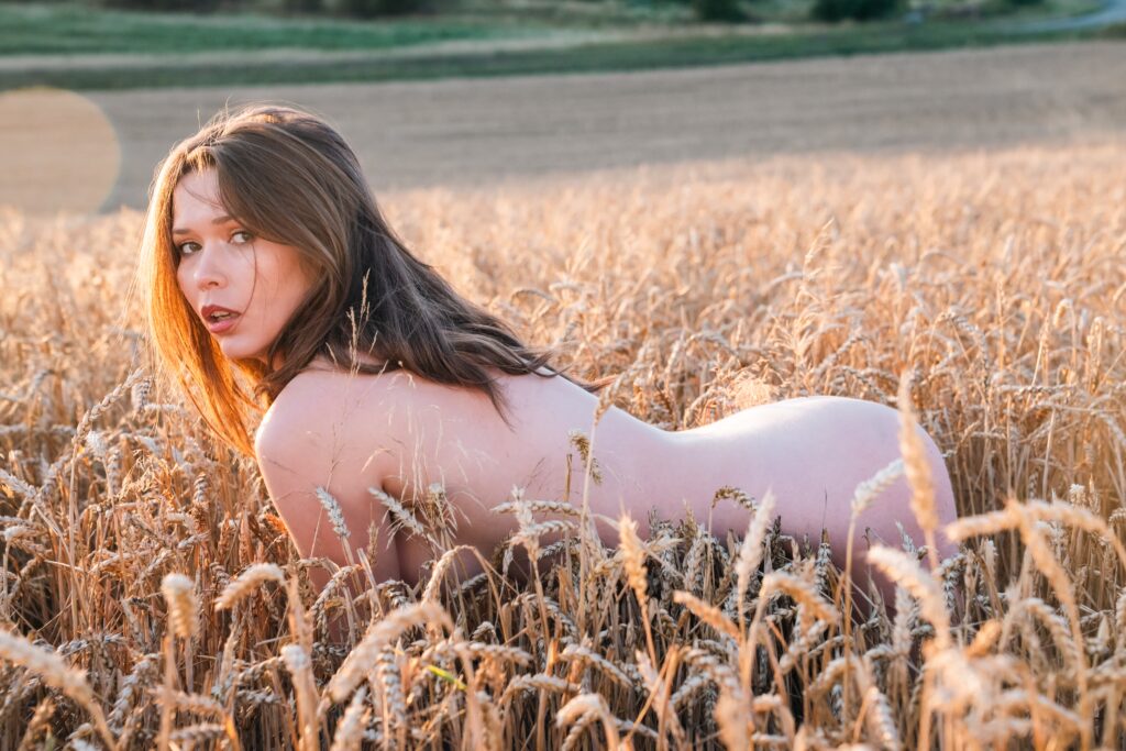 Nude model Kate Photomodel posing in a wheat field at sunset