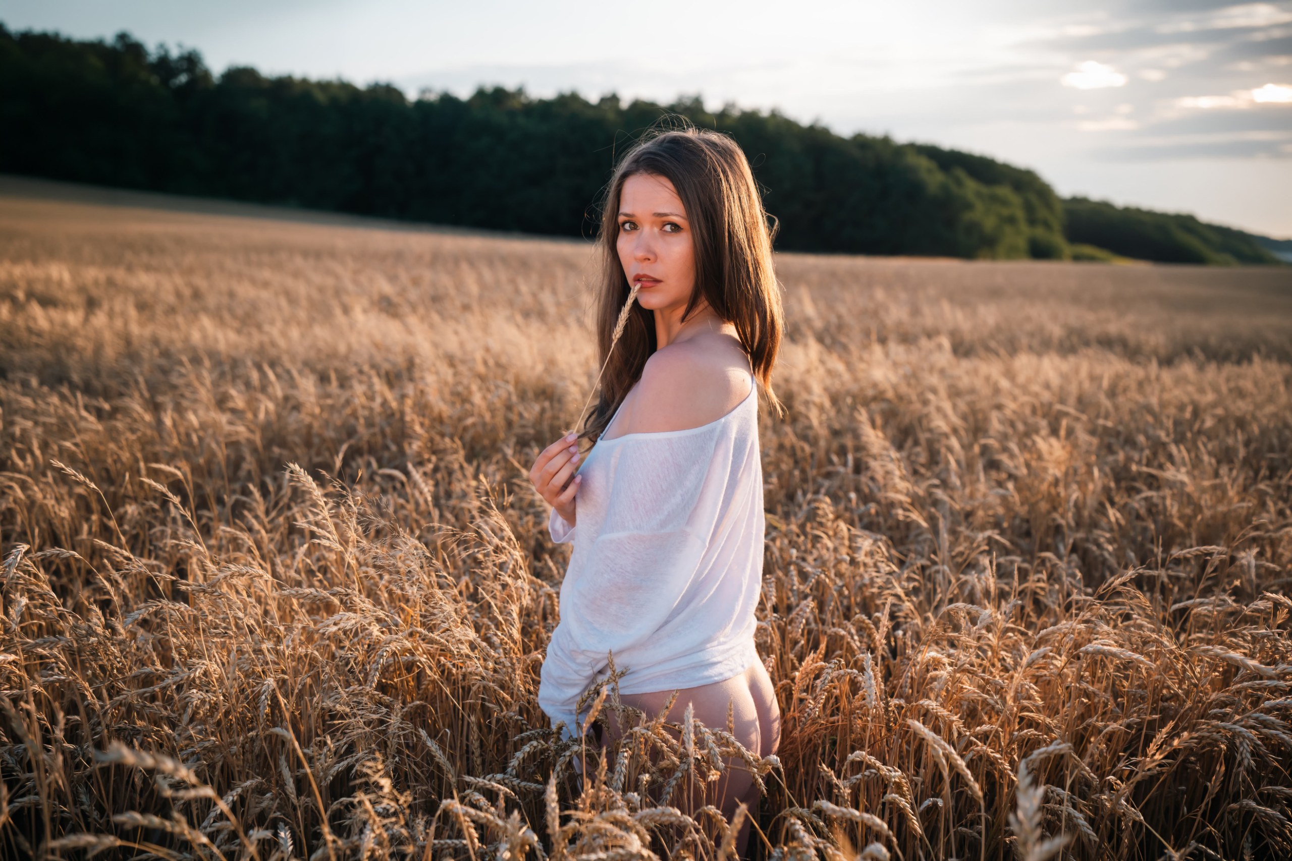 Kate Photomodel posing in a white shirt in a golden wheat field near Prague